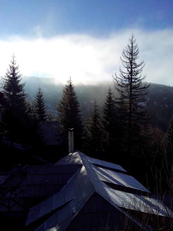 Apartments Dviletov Kutak Kopaonik Exterior foto
