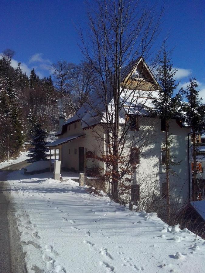 Apartments Dviletov Kutak Kopaonik Exterior foto